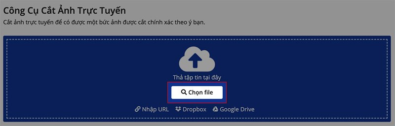 Truy cập trang web img2go.com > Nhấn Chọn File để tải ảnh lên