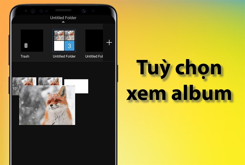 Tuỳ chọn xem album