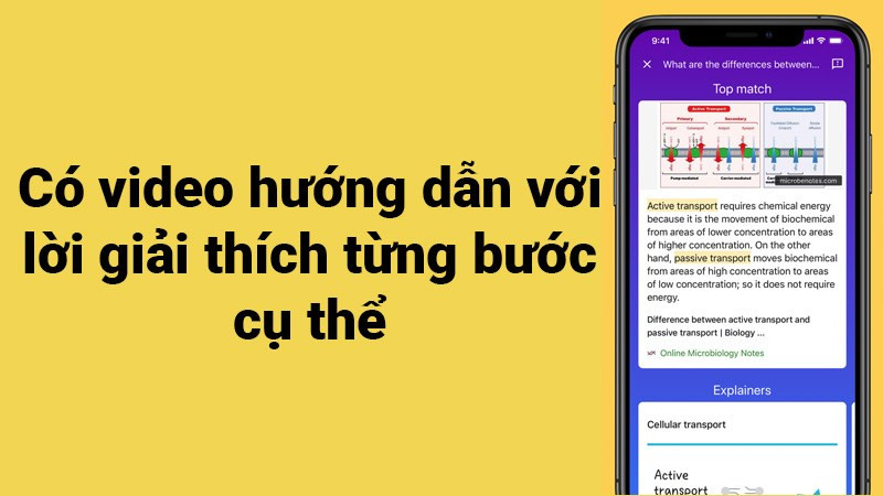 Video bài giảng trên Socratic