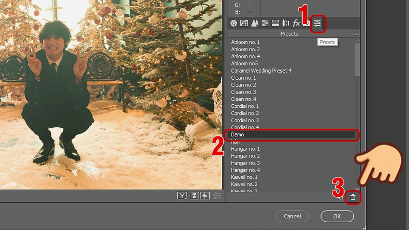 Xóa preset trong Camera Raw