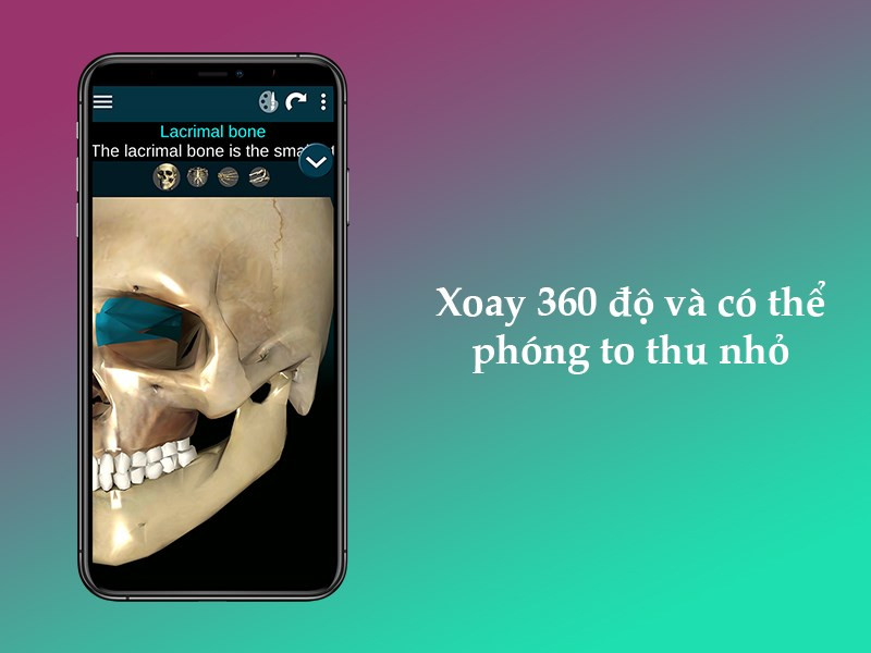 Xoay 360 độ v&agrave; c&oacute; thể ph&oacute;ng to thu nhỏ