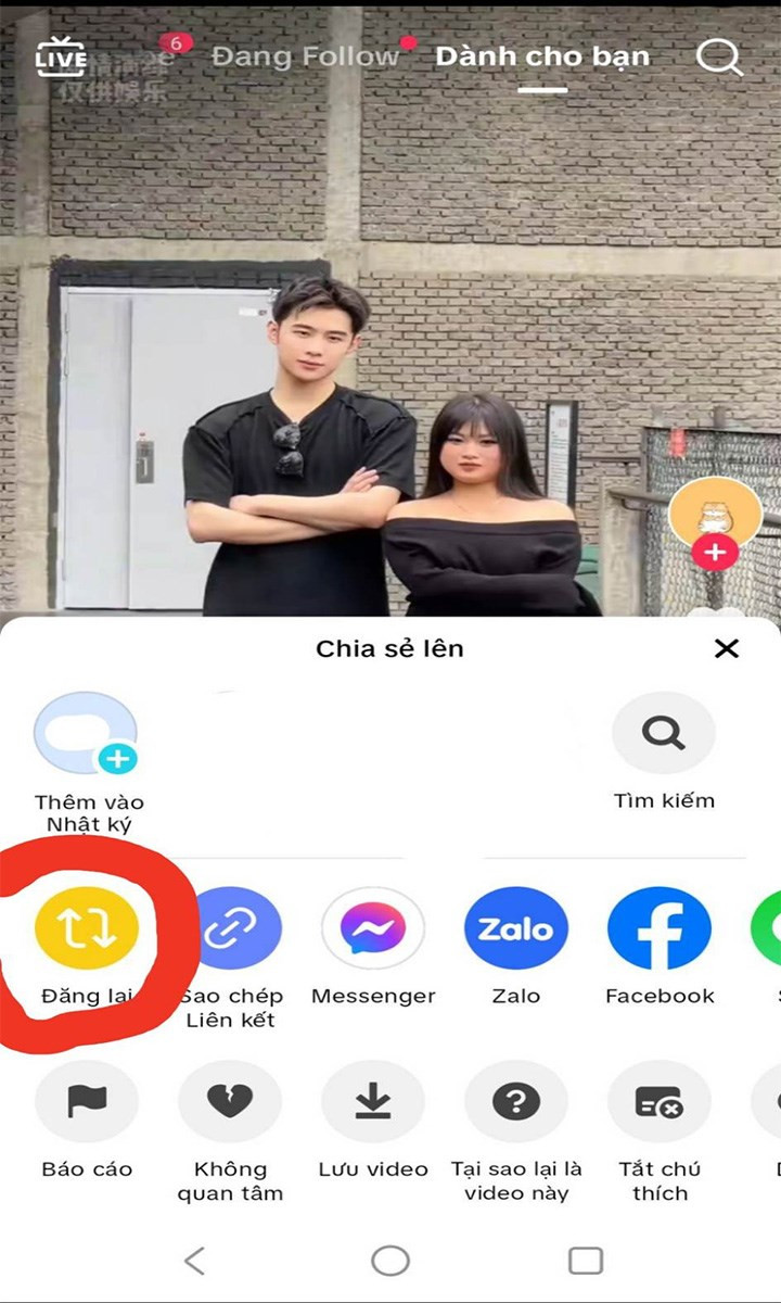 Hướng Dẫn Chi Tiết Cách Đăng Lại Video Trên TikTok 2023