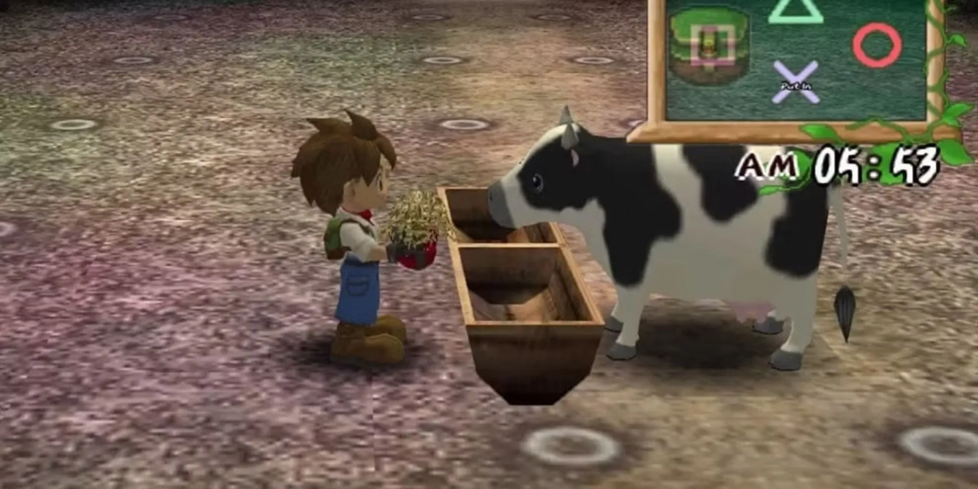 Người chơi cho bò ăn cỏ khô trong Harvest Moon: A Wonderful Life.