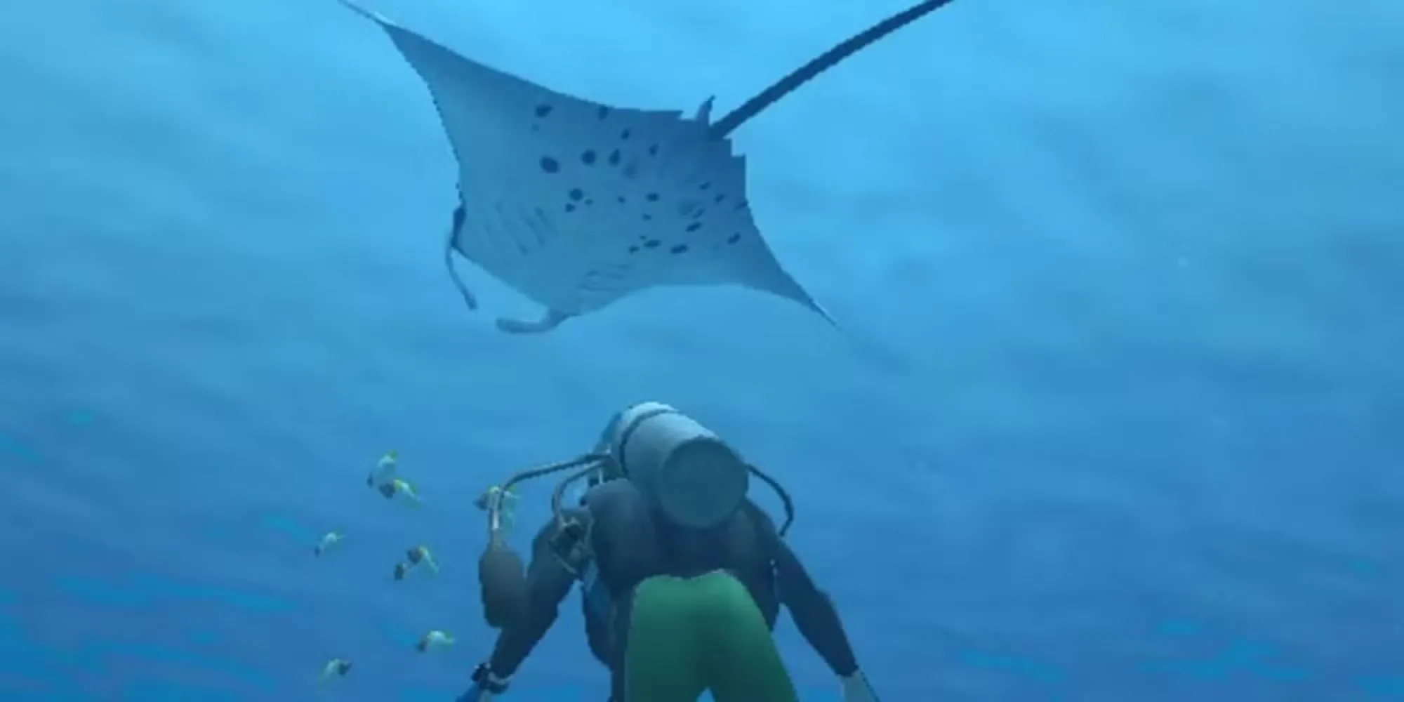 Nhân vật người chơi quan sát một con cá đuối manta trong Endless Ocean.