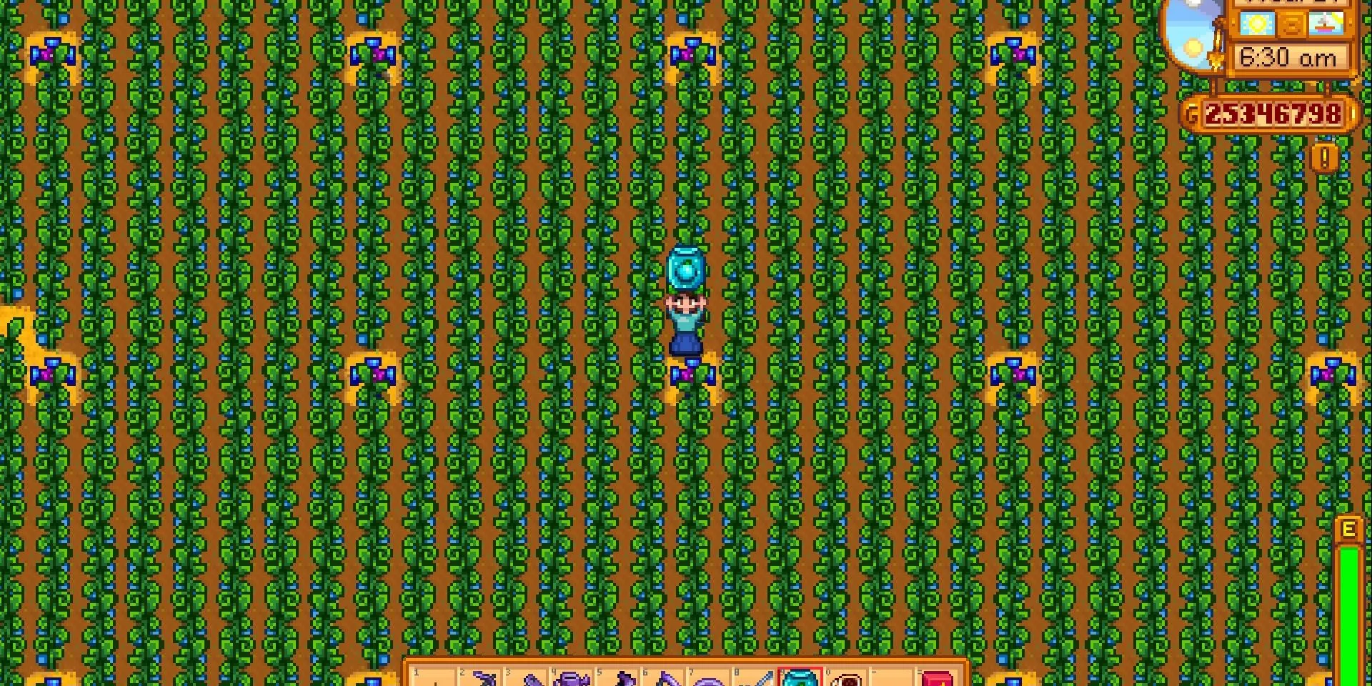 Cảnh trang trại Trái Cây Cổ Đại rộng lớn trong game nông trại Stardew Valley