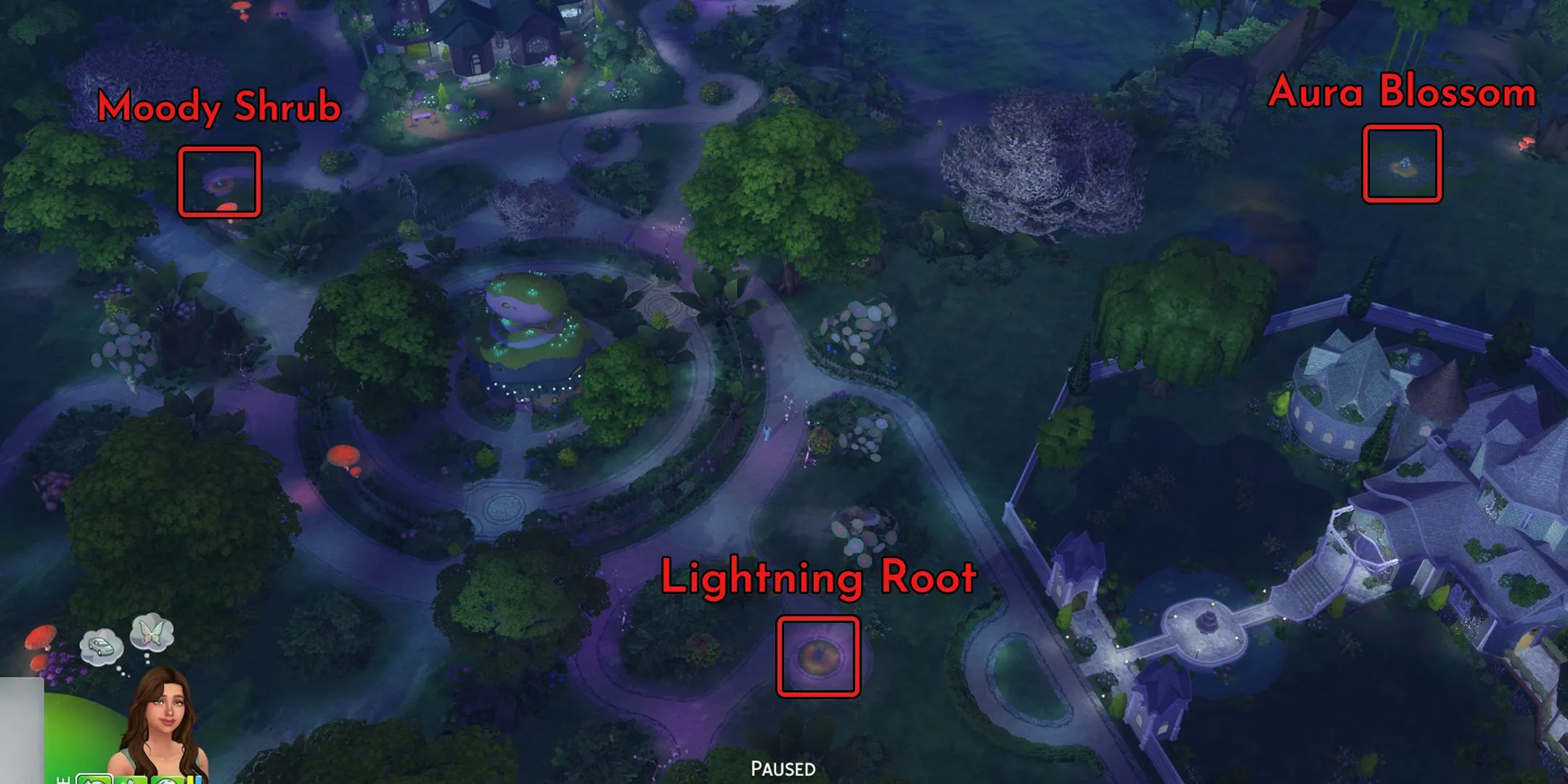 Cây Aura Blossom nở rộ tại hồ phép thuật Everdew, Sims 4 Enchanted by Nature