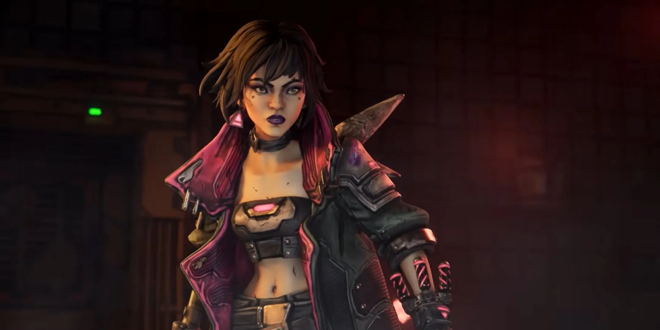 Nhân vật bí ẩn tiềm năng trong Borderlands 4