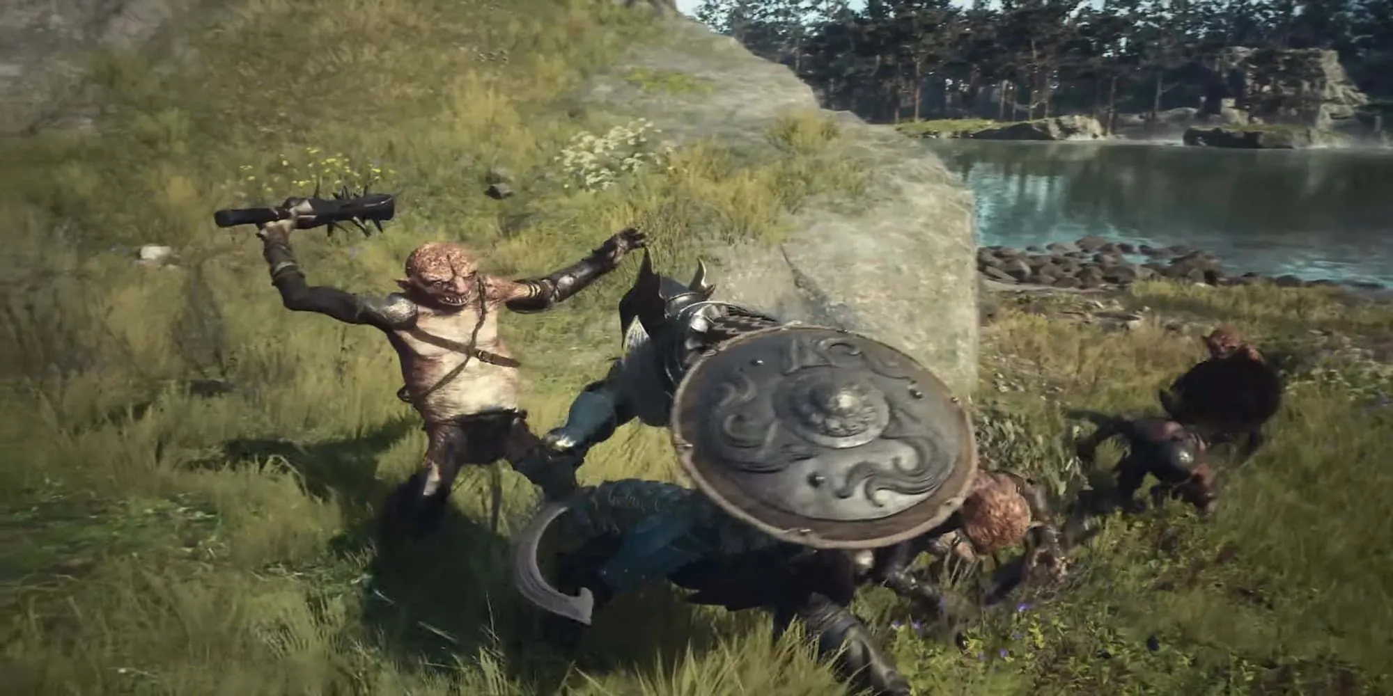 The Player Fighting With The Battahli Shield 